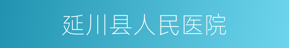 延川县人民医院的同义词
