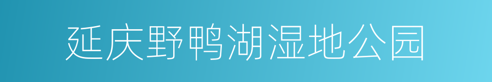 延庆野鸭湖湿地公园的同义词