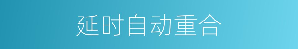 延时自动重合的同义词