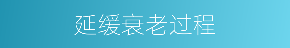 延缓衰老过程的同义词