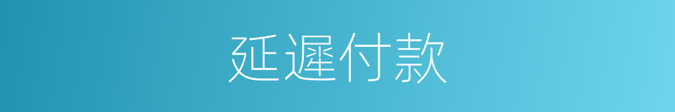 延遲付款的同義詞