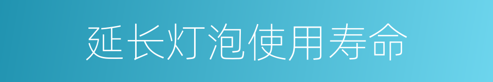延长灯泡使用寿命的同义词