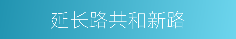 延长路共和新路的同义词