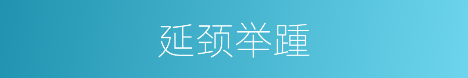 延颈举踵的意思