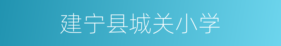 建宁县城关小学的同义词