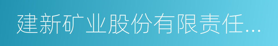 建新矿业股份有限责任公司的同义词