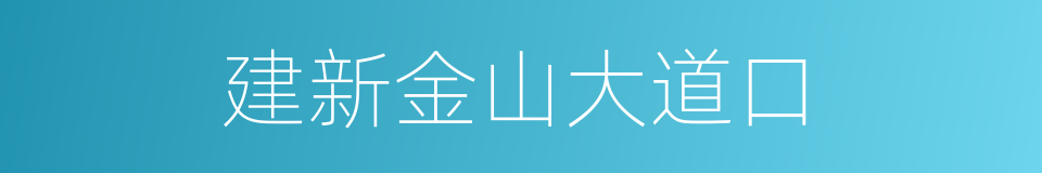 建新金山大道口的同义词