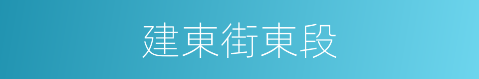 建東街東段的同義詞