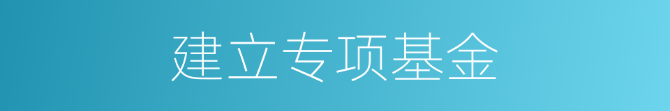 建立专项基金的同义词