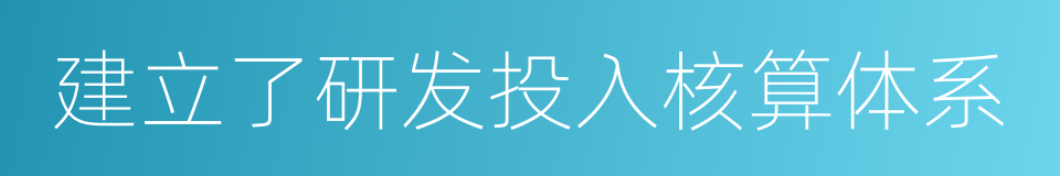 建立了研发投入核算体系的同义词