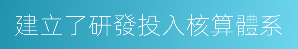 建立了研發投入核算體系的同義詞