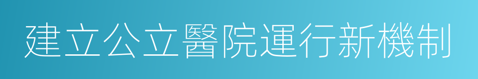 建立公立醫院運行新機制的同義詞