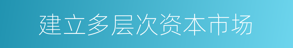 建立多层次资本市场的同义词