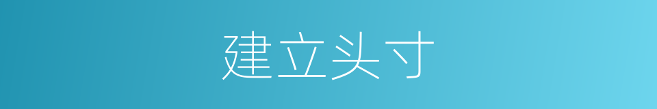 建立头寸的意思