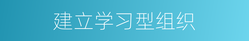 建立学习型组织的同义词