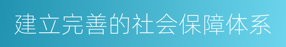 建立完善的社会保障体系的同义词