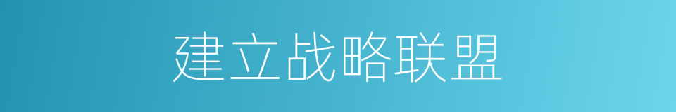 建立战略联盟的同义词