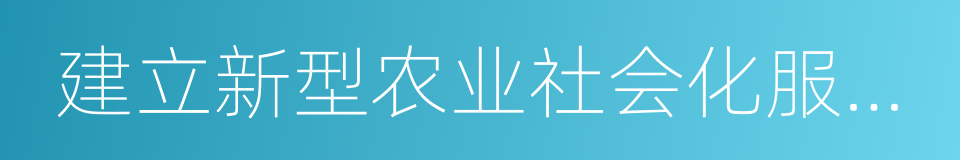 建立新型农业社会化服务体系的同义词