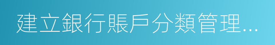 建立銀行賬戶分類管理機制的同義詞