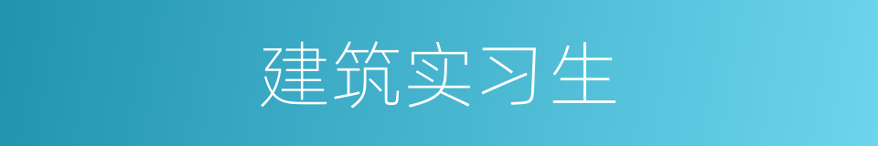 建筑实习生的同义词