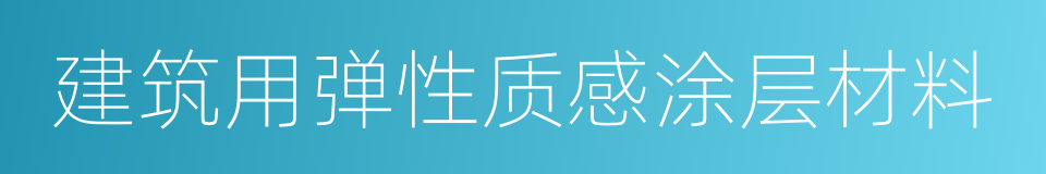 建筑用弹性质感涂层材料的同义词