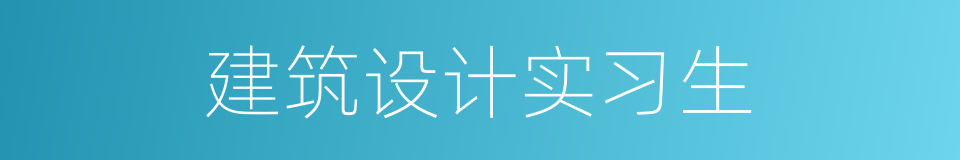 建筑设计实习生的同义词