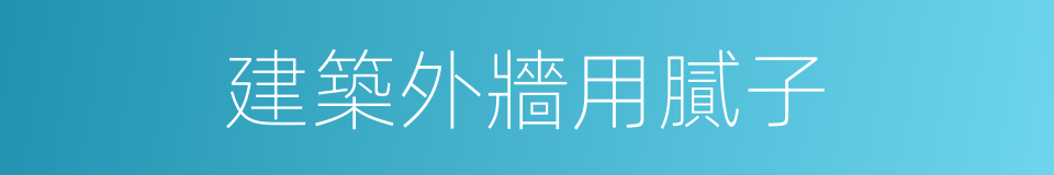 建築外牆用膩子的同義詞