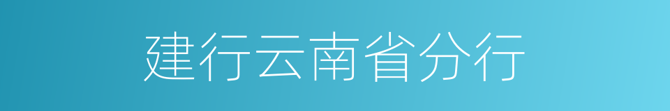 建行云南省分行的同义词