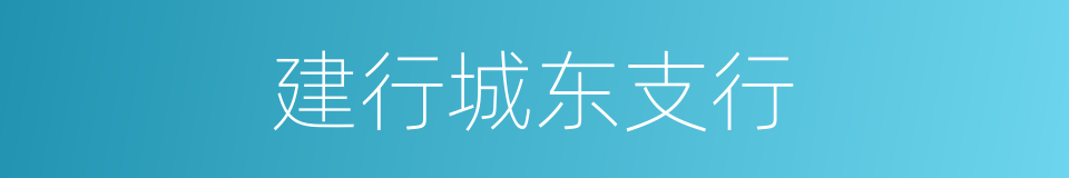 建行城东支行的同义词