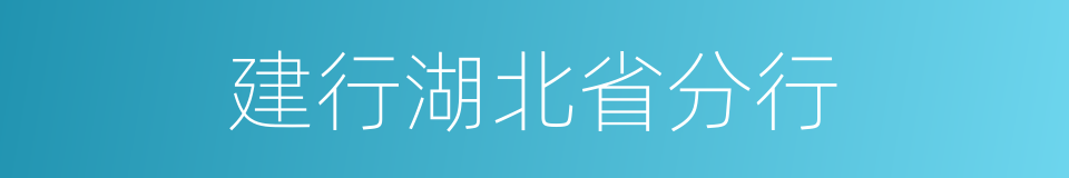 建行湖北省分行的同义词