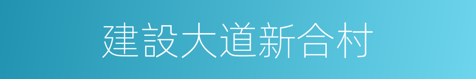 建設大道新合村的同義詞