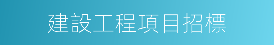 建設工程項目招標的同義詞