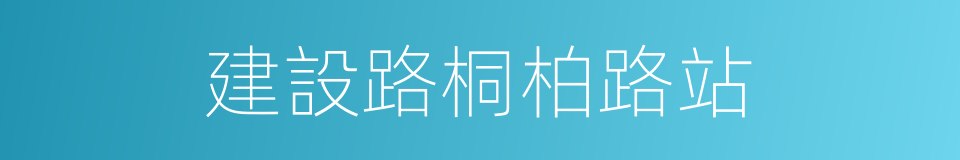 建設路桐柏路站的同義詞