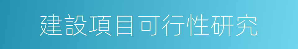 建設項目可行性研究的同義詞