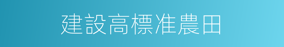 建設高標准農田的同義詞