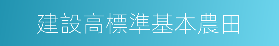 建設高標準基本農田的同義詞