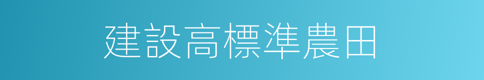 建設高標準農田的同義詞