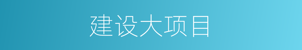建设大项目的同义词