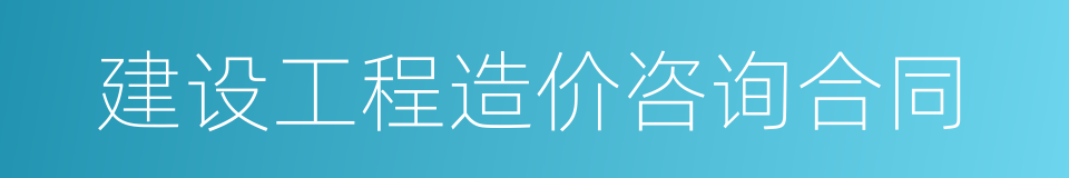 建设工程造价咨询合同的同义词