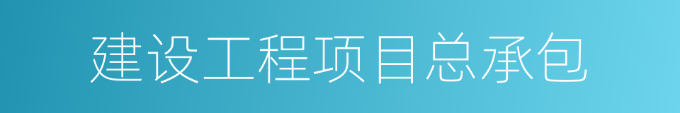 建设工程项目总承包的同义词