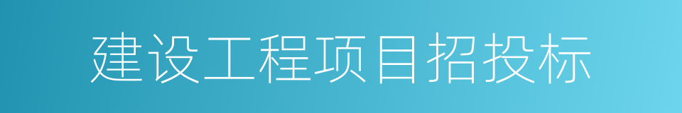建设工程项目招投标的同义词