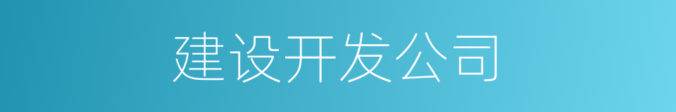 建设开发公司的同义词