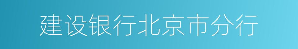 建设银行北京市分行的同义词