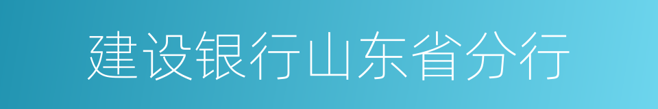 建设银行山东省分行的同义词