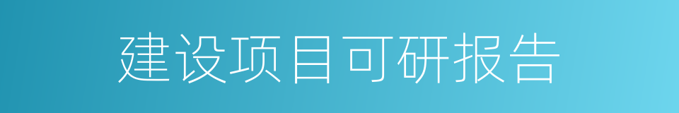 建设项目可研报告的同义词