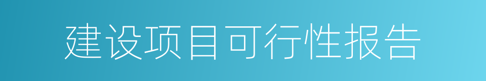 建设项目可行性报告的同义词