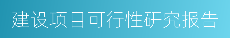 建设项目可行性研究报告的同义词