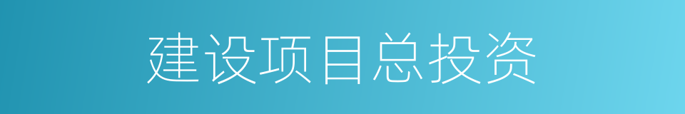 建设项目总投资的同义词