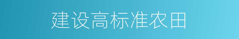 建设高标准农田的同义词