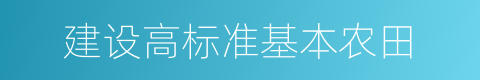 建设高标准基本农田的同义词